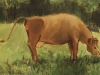 img220